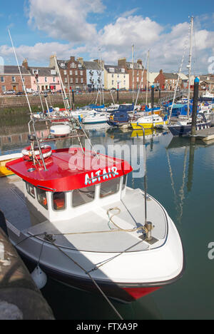 Il porto a Arbroath in Scozia Angus. Foto Stock