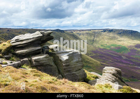 Sperone roccioso di gritstone a bordo di tenuta, parte del bordo settentrionale lungo Kinder Scout, Derbyshire, Parco Nazionale di Peak District, England, Regno Unito Foto Stock
