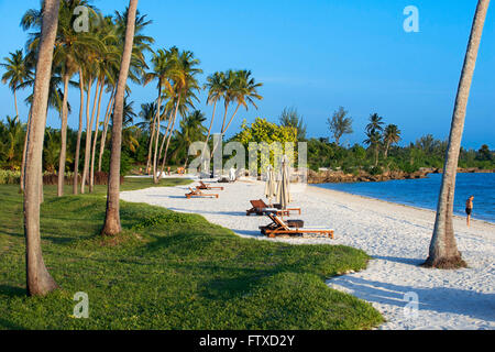 Spiaggia di sabbia bianca sotto le palme di fronte al Residence Hotel all'Oceano Indiano Zanzibar Tanzania Foto Stock