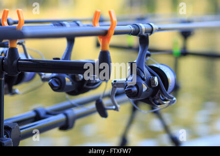 La pesca alla carpa verghe con aspo impostato sul sistema di sostegno. Professional di attrezzature da pesca sullo sfondo Foto Stock