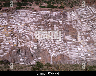 Maras nella Valle Sacra miniere di sale del Perù Sud America Foto Stock