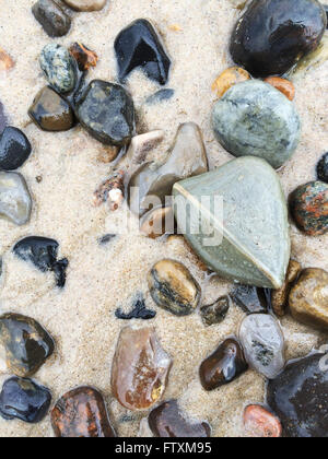 Close-up di ciottoli di spiaggia in sabbia Foto Stock