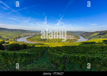 Ansa del fiume Moselle con villaggi e Leiwen Trittenheim, Germania occidentale. Foto Stock