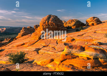 Tramonto al sud Coyote Buttes, Vermiglio scogliere monumento nazionale Foto Stock