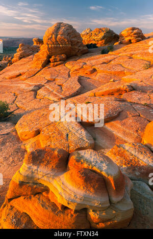 Tramonto al sud Coyote Buttes, Vermiglio scogliere monumento nazionale Foto Stock