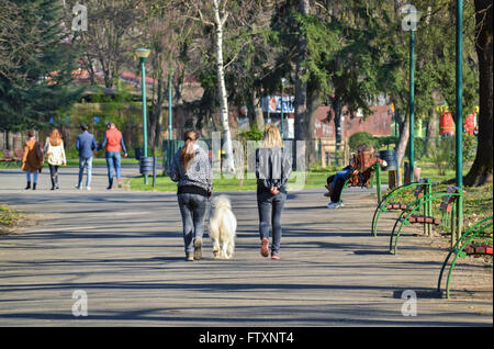 Due ragazze passeggiate nel parco della città con cane bianco in una giornata di sole Foto Stock