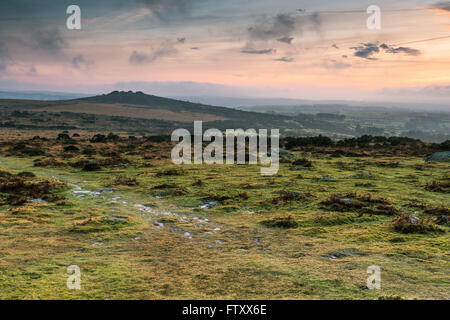 Panoramicview sulle colline di Dartmoor al tramonto Foto Stock