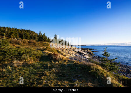 Il paesaggio costiero, Schoodic Peninsula, Parco Nazionale di Acadia, Maine, Stati Uniti d'America Foto Stock