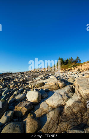 Il paesaggio costiero, Schoodic Peninsula, Parco Nazionale di Acadia, Maine, Stati Uniti d'America Foto Stock