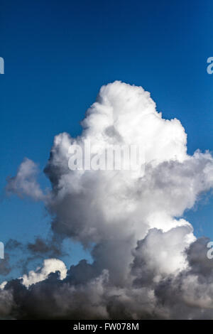 New Brighton, Wallasey, Regno Unito 31 marzo, 2016. Regno Unito. Meteo. Facce astratta, strane nuvole, insolito cloud, cloud strano, bizzarro nuvole. Cumulonimbus nuvole sono un tipo di cumulus cloud associato con tuoni e forti precipitazioni. Pareidoliais è un fenomeno psicologico che coinvolgono uno stimolo a partire da un immagine astratta in cui la mente percepisce un modello familiare di qualcosa in cui nessuno realmente esistente, o lo fa? Esempi comuni sono percepiti immagini di animali, volti o oggetti in formazioni di nubi come in questi esempi. Foto Stock