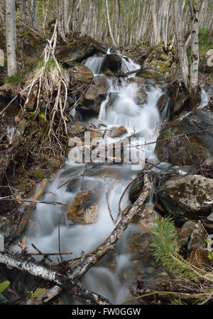 Torrent sul pendio di montagna Foto Stock