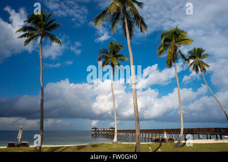 Spiaggia di sabbia bianca e amache sotto le palme di fronte al Residence Hotel all'Oceano Indiano Zanzibar Tanzania Foto Stock
