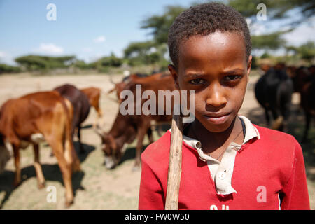 Tra Mojo e Ziway, Etiopia, ottobre 2013 Adish, 10, imbrancandosi animali nel pomeriggio. Egli va a scuola di mattina la sua materia preferita è la matematica. Foto Stock