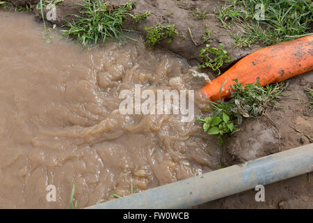 Meki River Delta, Etiopia, ottobre 2013 g. Sambeta, 28, leasing la sua terra per il proprietario della pompa di irrigazione. Foto Stock