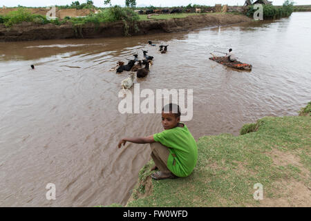 Meki River Delta, Etiopia, ottobre 2013 Dagega Sabglah, 38, allevamento del bestiame al pascolo attraverso il fiume Meki. Foto Stock