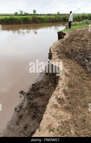 Meki River Delta, Etiopia, ottobre 2013 l'erosione del fiume a causa di una cattiva gestione di spartiacque a monte. Foto Stock