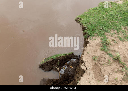 Meki River Delta, Etiopia, ottobre 2013 l'erosione del fiume a causa di una cattiva gestione di spartiacque a monte. Foto Stock