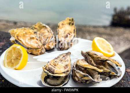 Una mezza dozzina di ostriche con un limone su una piastra di plastica di mangiare all'aperto vicino al mare Foto Stock