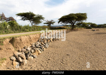 Il lago di Langano, Etiopia, ottobre 2013 Alutu Ridge - gli abitanti del villaggio hanno pietre impilate nel letto del fiume per proteggere la strada da erosione. Foto Stock