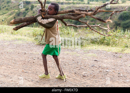 Alutu Ridge, Lago Langano, Etiopia, ottobre 2013 Abdu Raman, 8, e il suo fratello più giovane porta in legno per persone al taglio di legname illegalmente nella foresta. Egli fa questo ogni pomeriggio dopo la scuola. Foto Stock