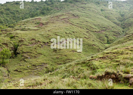 Villaggio Gibi, Gurage, Etiopia, ottobre 2013 questa collina è fortemente eroso a causa della deforestazione e sfruttamento eccessivo dei pascoli. Foto Stock