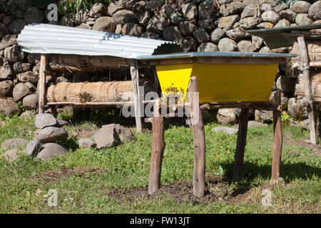 Villaggio Furamariam, Debele, Amhara, Etiopia, Ottobre 2013: Kidane Wolde coltiva il miele sia tradizionali che moderni alveari. Quelle moderne offrono due volte la resa. Foto Stock