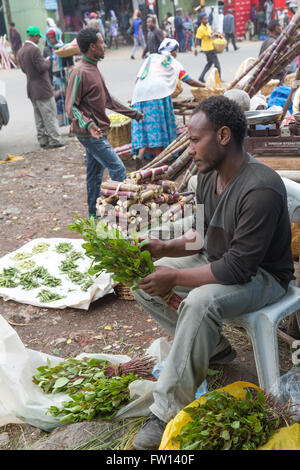 Debre Sina, Etiopia, Ottobre 2013: un giovane uomo vendita di foglie di chat su strada sul giorno di mercato. Foto Stock