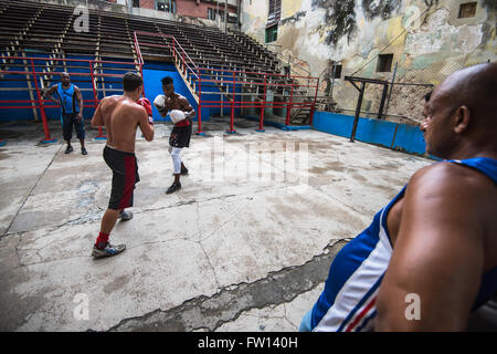 L'Avana, Cuba - 22 Settembre 2015: Giovani pugili treno nella famosa scuola di inscatolamento di Rafael Trejo nella Vecchia Havana, Cuba. Casella è Cuba n Foto Stock