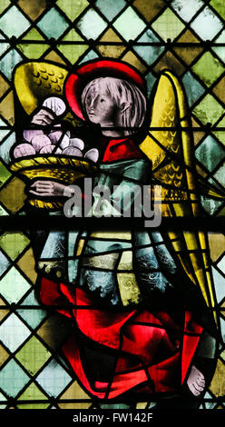 ROUEN, Francia - 10 febbraio 2013: Angelo con una Eucaristia in una vetrata nella cattedrale di Rouen, Francia Foto Stock