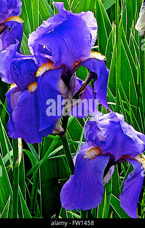 Topeka Kansas, Stati Uniti d'America, 26 maggio, 2014 Fiori di Kansas Credit: Mark Reinstein Foto Stock