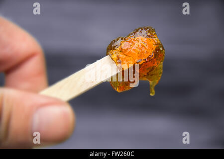 Maple taffy su un memory stick durante lo zucchero shack periodo Foto Stock