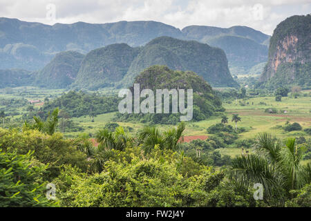 Vista panoramica sul paesaggio con mogotes in Vinales Valley ,Cuba Foto Stock