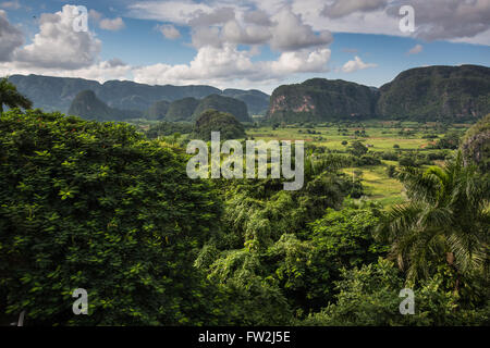 Vista panoramica sul paesaggio con mogotes in Vinales Valley ,Cuba Foto Stock