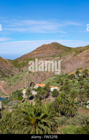 Villaggio Tazo con Isola Canarie palme da dattero (Phoenix canariensis) in Vallehermoso, La Gomera, isole Canarie, Spagna Foto Stock