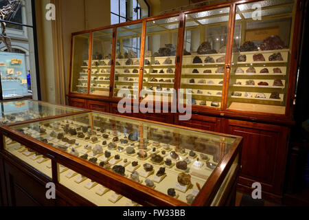 I vari minerali in cabine di vetro, Naturkundemuseum, Museo di Storia Naturale di Berlino, Germania Foto Stock