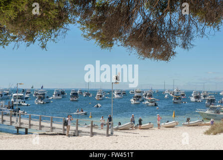 Pelican seduto su un palo in corrispondenza della liquidazione, Thomson Bay, l'Isola di Rottnest, Australia occidentale, Australia Foto Stock