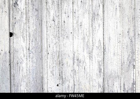 Legno bianco sullo sfondo di texture Foto Stock