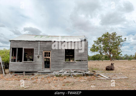 Il vecchio capannone con allevamento di bestiame su terreni agricoli a Grotte Road, Margaret River, Australia occidentale, Australia Foto Stock