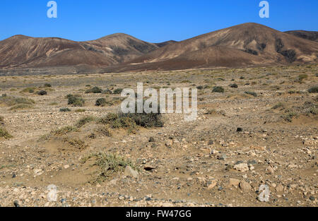 Asciugare paesaggio di montagna arida vicino Paraja, Fuerteventura, Isole Canarie, Spagna Foto Stock