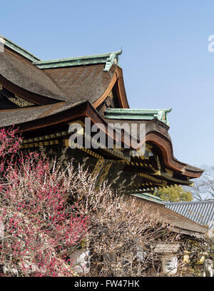 Kitano Tenmangu Santuario, Kyoto - ben noto per i suoi fiori di susina ai primi di marzo. Foto Stock