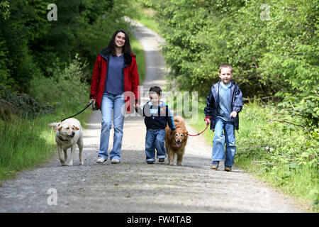 Famiglia e cani a piedi nella foresta scozzese Pic: Peter Devlin Foto Stock