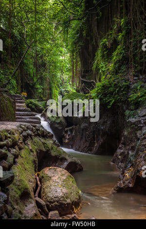 Santuario della Foresta delle Scimmie, Ubud, Bali, Indonesia Foto Stock