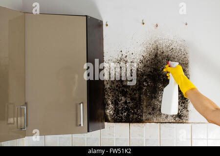 Rimozione della muffa da cucina Armadi, rondella di mano in primo piano. Foto Stock