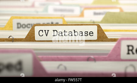 CV Concetto di Database su file etichetta. Foto Stock