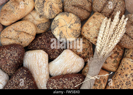 Pane selezione bobina con guaine di grano in Assia formando un abstract background. Foto Stock