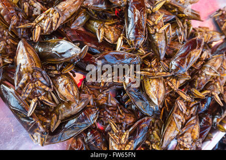 Mangda, fritte acqua bugs (Lethocerus indicus) su un mercato, insetti commestibili, cucina Thai, specialità, Thailandia Foto Stock