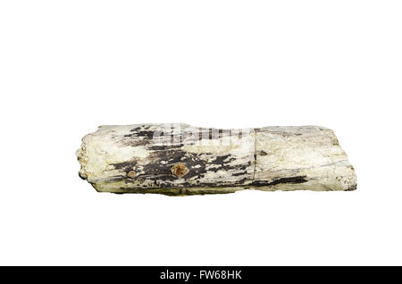 Weathered pezzo di driftwood isolato su bianco Foto Stock