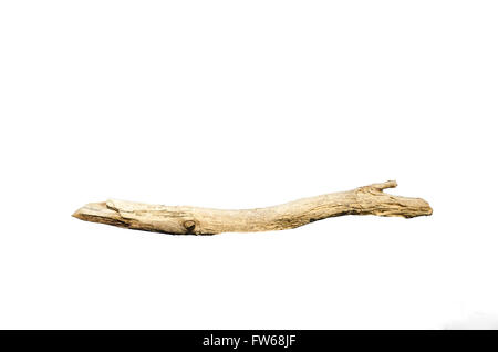 Pezzo di driftwood isolato su bianco Foto Stock