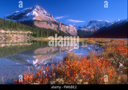 Picco Sunwapta riflessa nella bellezza Creek piscina in autunno, fiume Sunwapta Valley, il Parco Nazionale di Jasper, Alberta, Canada Foto Stock