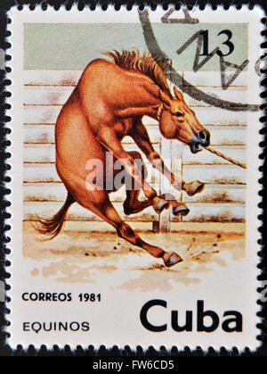 CUBA - circa 1981: un timbro stampato in Cuba mostra un cavallo, circa 1981 Foto Stock